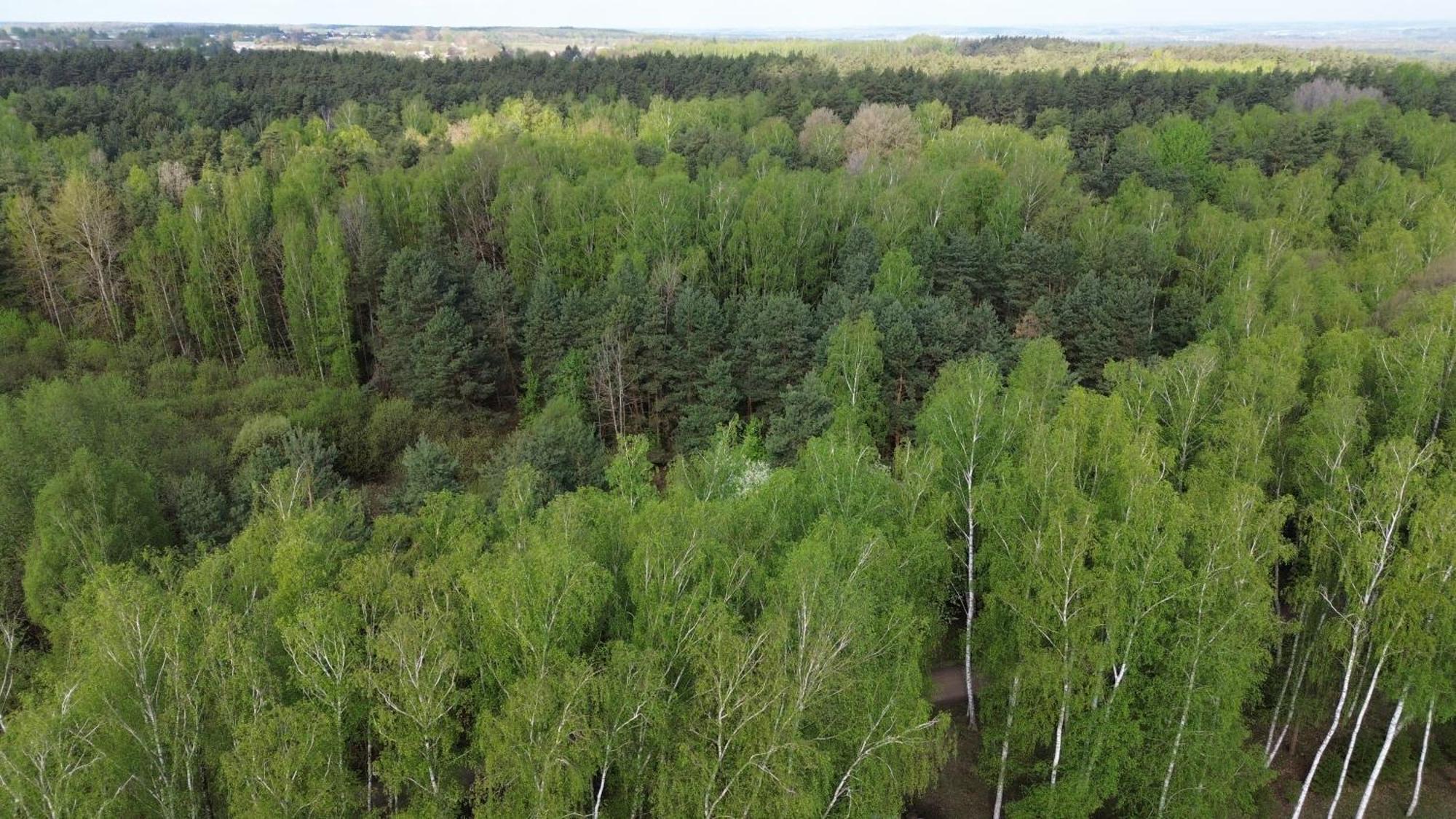 Dom Wakacyjny Z Ogromnym Ogrodem Witaszyn Exteriér fotografie