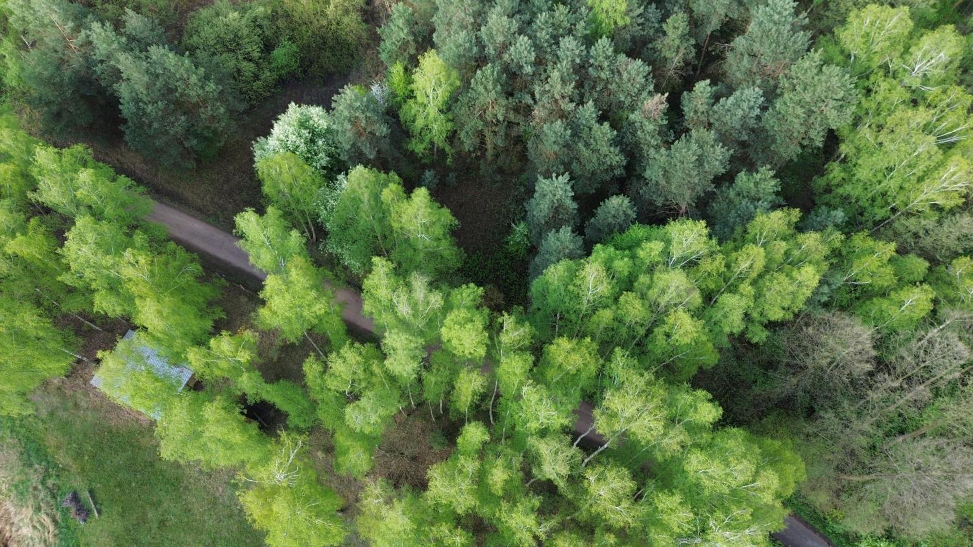 Dom Wakacyjny Z Ogromnym Ogrodem Witaszyn Exteriér fotografie