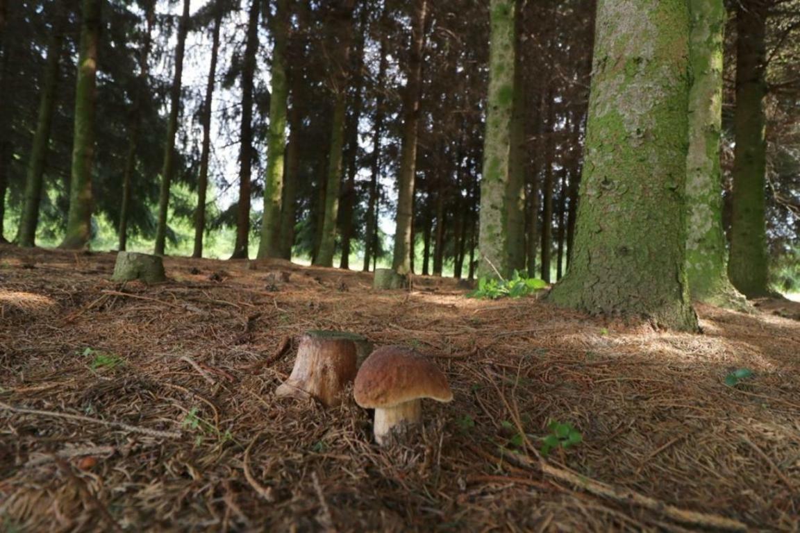 Dom Wakacyjny Z Ogromnym Ogrodem Witaszyn Exteriér fotografie